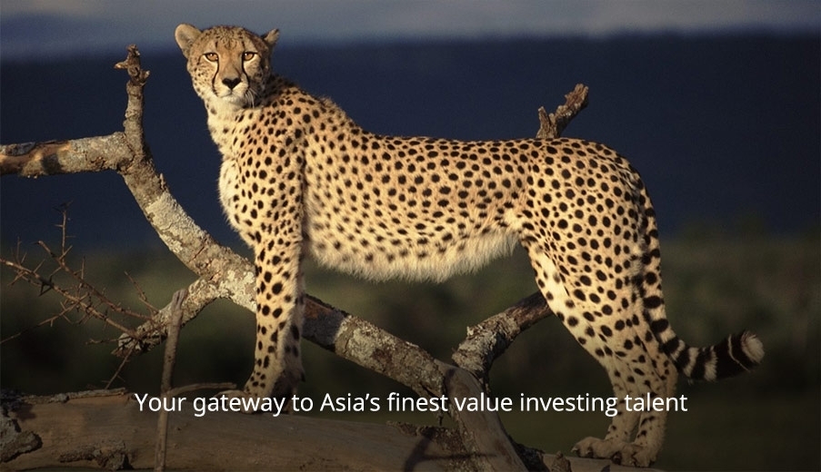 Cheetah Investment Management Home